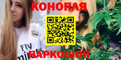 гидропоника Ставрополь