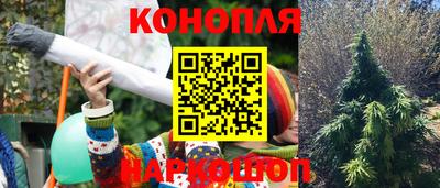 гидропоника Ставрополь